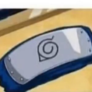 Meet your Posher, Young